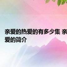 亲爱的热爱的有多少集 亲爱的热爱的简介