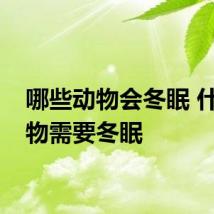 哪些动物会冬眠 什么动物需要冬眠