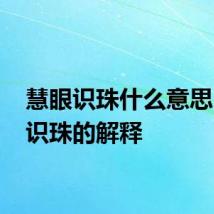 慧眼识珠什么意思 慧眼识珠的解释