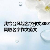 我给台风起名字作文800字 给台风取名字作文范文