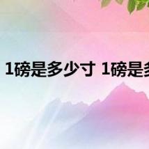 1磅是多少寸 1磅是多大