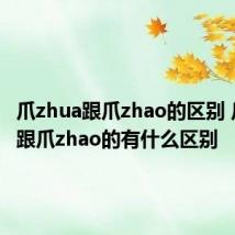 爪zhua跟爪zhao的区别 爪zhua跟爪zhao的有什么区别