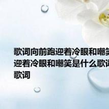 歌词向前跑迎着冷眼和嘲笑 向前跑迎着冷眼和嘲笑是什么歌词里面的歌词