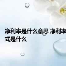 净利率是什么意思 净利率计算公式是什么