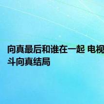 向真最后和谁在一起 电视剧青春斗向真结局