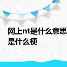 网上nt是什么意思梗 nt是什么梗