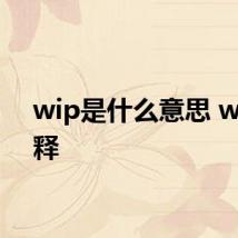 wip是什么意思 wip解释