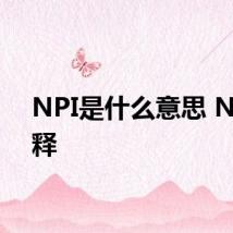 NPI是什么意思 NPI解释