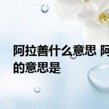 阿拉善什么意思 阿拉善的意思是