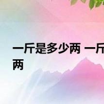 一斤是多少两 一斤是几两