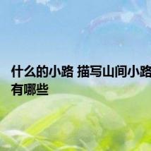 什么的小路 描写山间小路的句子有哪些