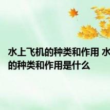 水上飞机的种类和作用 水上飞机的种类和作用是什么
