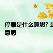 停服是什么意思? 是什么意思