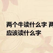 两个牛读什么字 两个牛应该读什么字