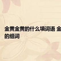 金黄金黄的什么填词语 金黄金黄的组词