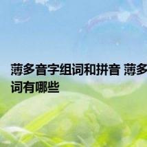 薄多音字组词和拼音 薄多音字组词有哪些