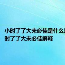 小时了了大未必佳是什么意思 小时了了大未必佳解释
