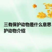 三有保护动物是什么意思 三有保护动物介绍