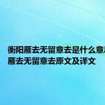衡阳雁去无留意去是什么意思 衡阳雁去无留意去原文及译文