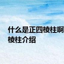 什么是正四棱柱啊 正四棱柱介绍