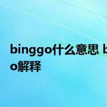 binggo什么意思 binggo解释