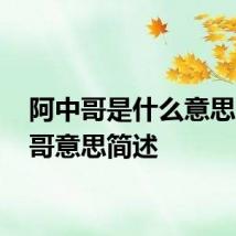 阿中哥是什么意思 阿中哥意思简述