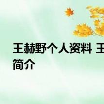 王赫野个人资料 王赫野简介