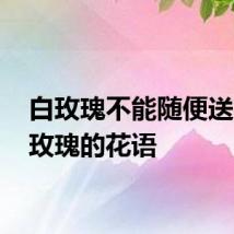 白玫瑰不能随便送人 白玫瑰的花语