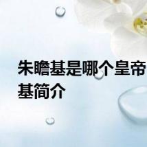 朱瞻基是哪个皇帝 朱瞻基简介