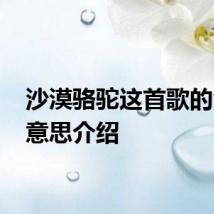 沙漠骆驼这首歌的含义 意思介绍