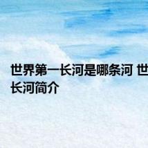 世界第一长河是哪条河 世界第一长河简介