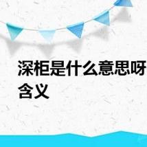 深柜是什么意思呀 深柜含义