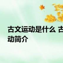 古文运动是什么 古文运动简介