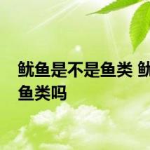 鱿鱼是不是鱼类 鱿鱼是鱼类吗