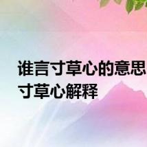 谁言寸草心的意思 谁言寸草心解释
