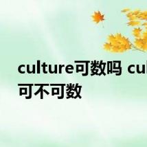 culture可数吗 culture可不可数