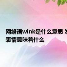 网络语wink是什么意思 发wink表情意味着什么