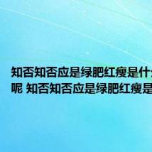 知否知否应是绿肥红瘦是什么意思呢 知否知否应是绿肥红瘦是啥意思