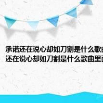 承诺还在说心却如刀割是什么歌曲 承诺还在说心却如刀割是什么歌曲里面的歌词