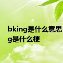 bking是什么意思 bking是什么梗