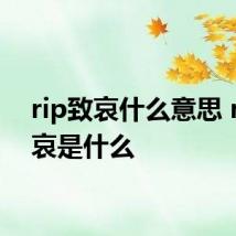 rip致哀什么意思 rip致哀是什么