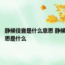 静候佳音是什么意思 静候佳音意思是什么
