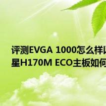 评测EVGA 1000怎么样以及微星H170M ECO主板如何