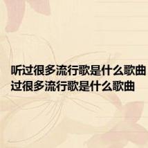 听过很多流行歌是什么歌曲 歌词听过很多流行歌是什么歌曲