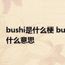 bushi是什么梗 bushi是什么意思