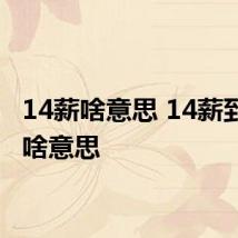 14薪啥意思 14薪到底是啥意思