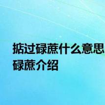 掂过碌蔗什么意思 掂过碌蔗介绍