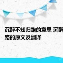 沉醉不知归路的意思 沉醉不知归路的原文及翻译