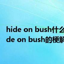 hide on bush什么梗 hide on bush的梗解释