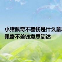 小猪佩奇不差钱是什么意思 小猪佩奇不差钱意思简述